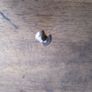 Step drill bit Image 2
