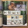 2004 Ireland The Irish Stamp Hardback Year Book with all Commemorative stamps issued in 2004 Image 6