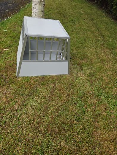 Dog transfer box crate
