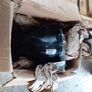 Bmw x5 e70 2011 Rear differential 3.64 Image 9