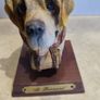 Lovely St. Bernard resin head figurine hand painted. Image 3