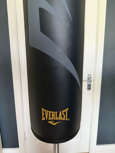 Everlast free standing punch bag and gloves