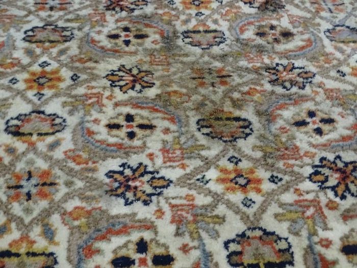 P.ersian Bidjar Rug 2.95 x 1.95m (BJAR)