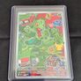 3rd Gen Hoenn Starter Trio First Partner Illustration Collection Image 2