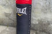 Punch bag