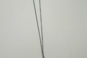 Dolphin Necklace