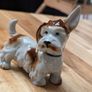 German porcelain terrier Image 9