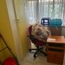 Partial contents of House Image 5