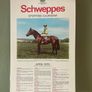 Horse racing Image 9