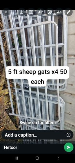 calf gates 8 4fts 4 five ft 4 x8 ft light gates and 8 ft hevey calf gates x8 price in pictures