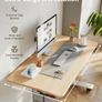 Electric Height Adjustable Standing Desk, 100x60cm Sit Stand Desk Image 5