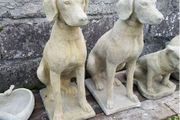 Hunting Dogs EG001