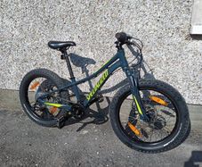 Specialized Riprock 20 (2016 model)