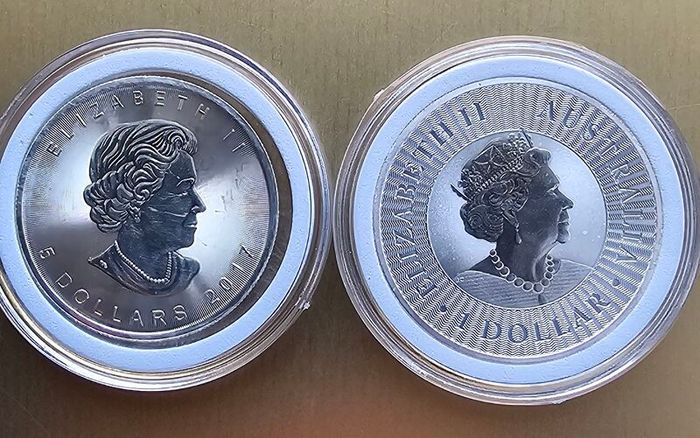 Silver 1 oz coins