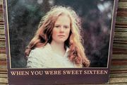 The Fureys - When You Were Sweet Sixteen [Vinyl]