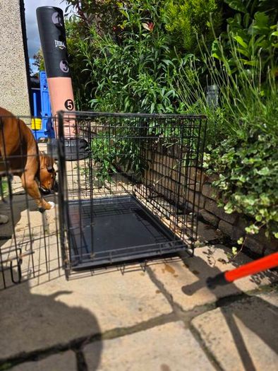 dog crate