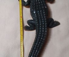 Crocodile large toy