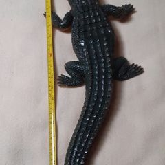 Crocodile large toy