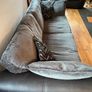couch Image 4