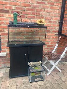 Large and small Fish tank with wooden cupboard, filter and accessories
