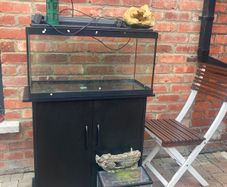 Large and small Fish tank with wooden cupboard, filter and accessories