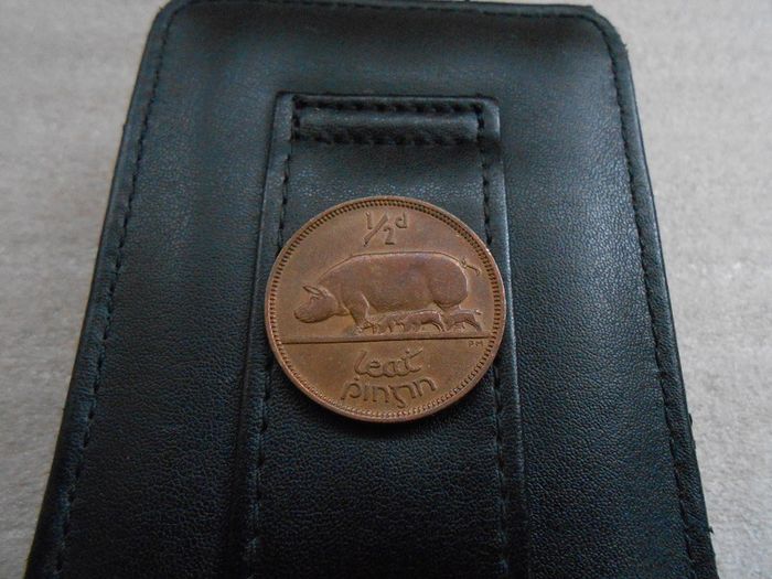 Irish Half Penny
