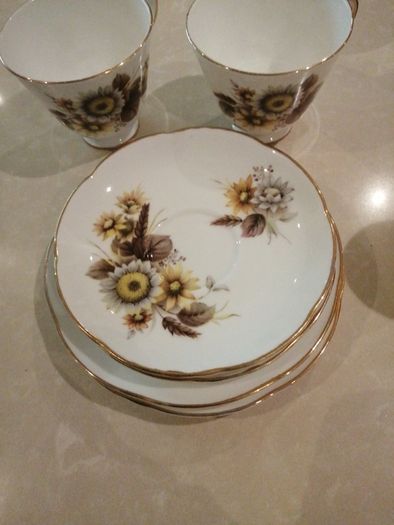 Vintage Royal Tara Bone china trio