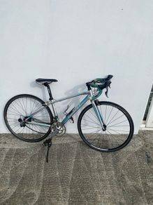 Giant racing bike