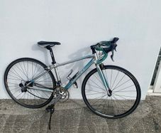 Giant racing bike