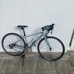 Giant racing bike