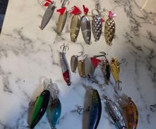 Trout and pike bates