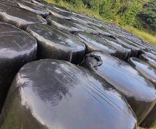 Bales of Silage.