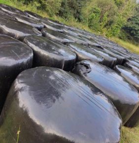 Bales of Silage.