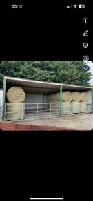 Hay for sale