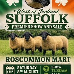 Suffolk Ram Sale Saturday 8th August Roscommon Mar