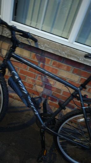 carrera mtb mountain bike