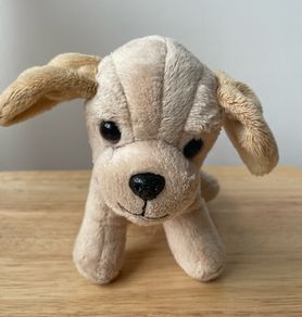 Our generation Puppy Teddy