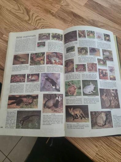 first edition (1966)readers digest map of Britain