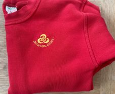 ladybird / irish girl guides uniform