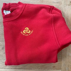 ladybird / irish girl guides uniform