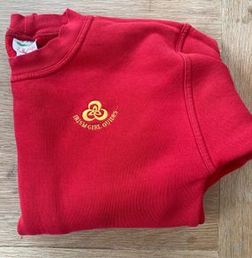 ladybird / irish girl guides uniform