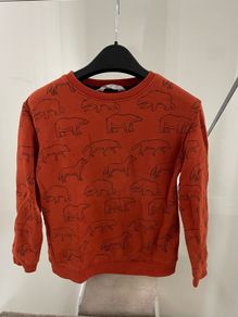 H & M Boys jumper