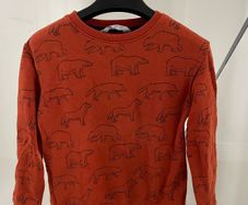 H & M Boys jumper