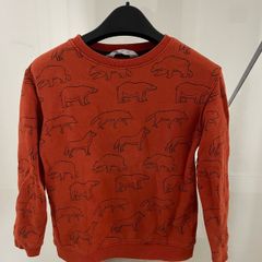 H & M Boys jumper