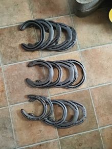 horseshoes