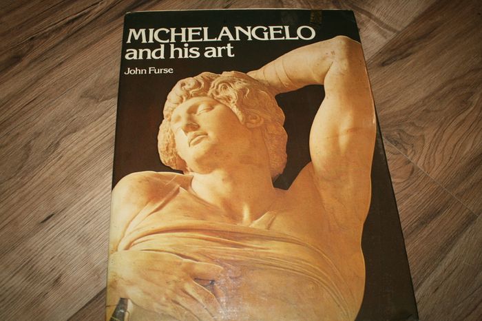 Michelangelo and His Art