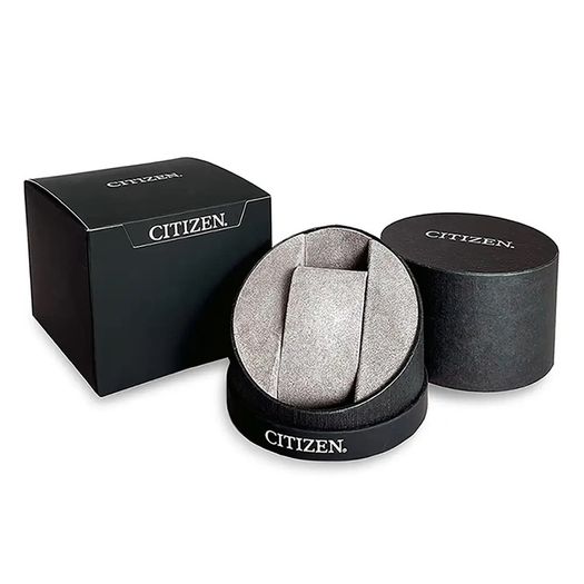 Citizen promaster Diver Stainless Steel Eco-Drive Watch solar powered