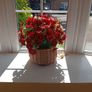 Beautiful Artifical Flower Display Image 3