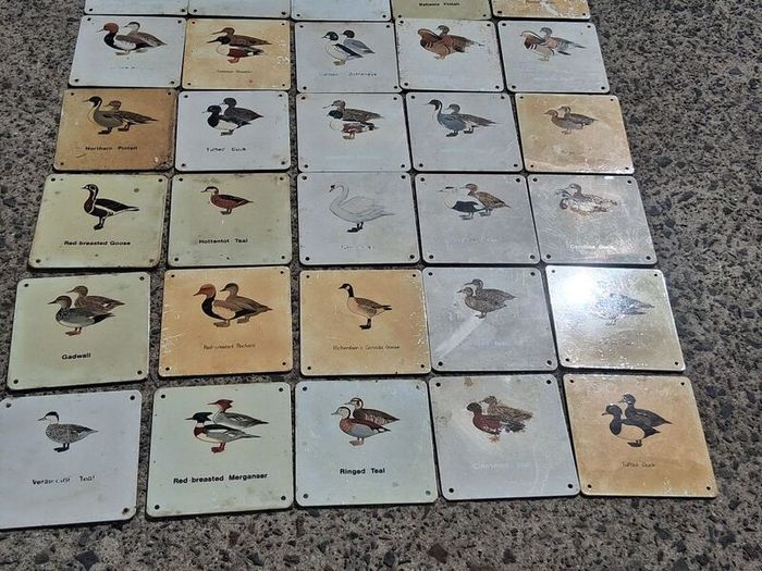 37 X Mid Century Avian Metal Display Plaques