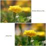 KF Concept 77mm Black Diffusion Filters Half Price v Amazon! Image 3